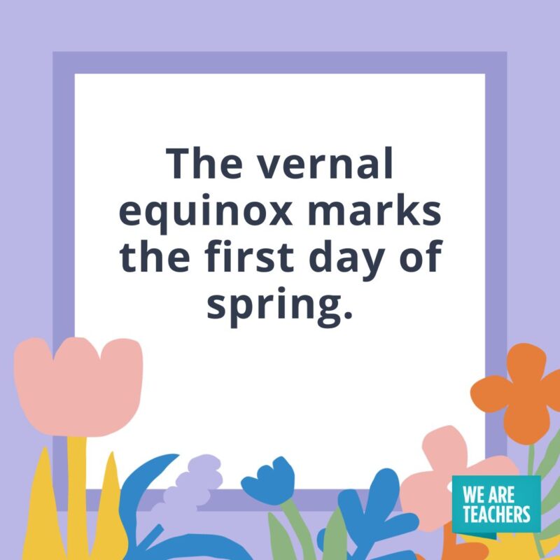 The vernal equinox marks the first day of spring. The vernal equinox marks the first day of spring.