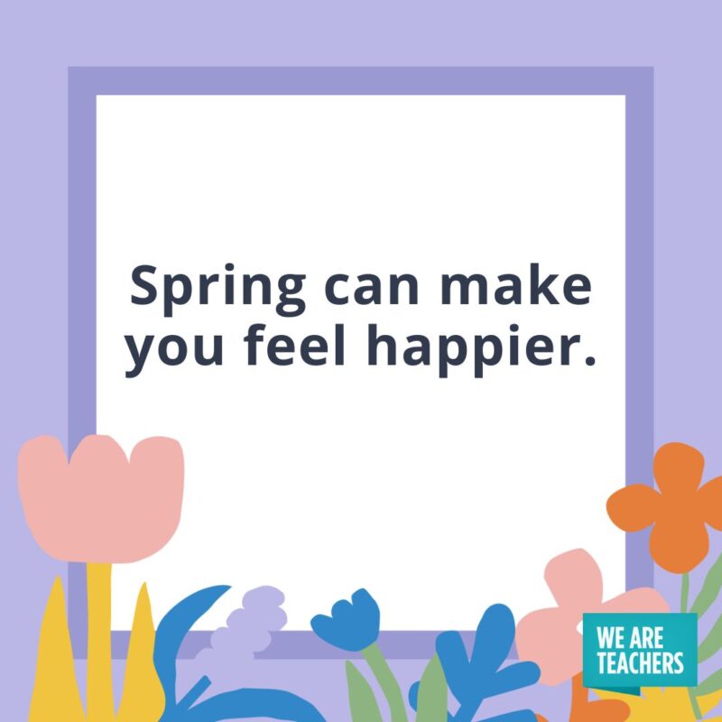 Spring can make you feel happier. Spring can make you feel happier.