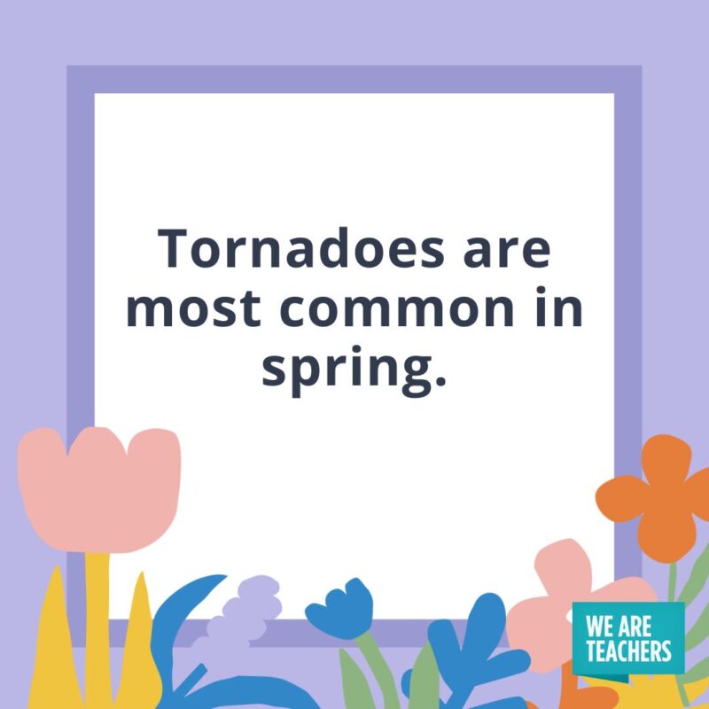Tornadoes are most common in spring. Tornadoes are most common in spring.