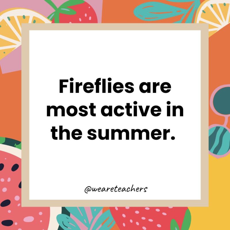 Fireflies are most active in the summer. Fireflies are most active in the summer.