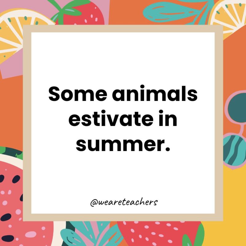 Some animals estivate in summer. Some animals estivate in summer.