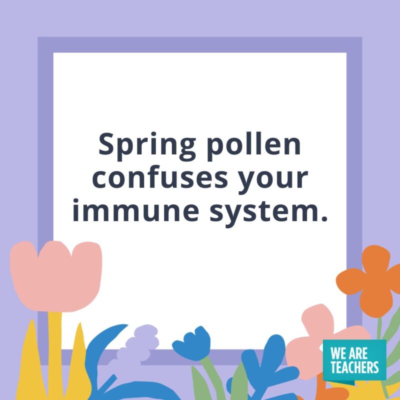 Spring pollen confuses your immune system. Spring pollen confuses your immune system.