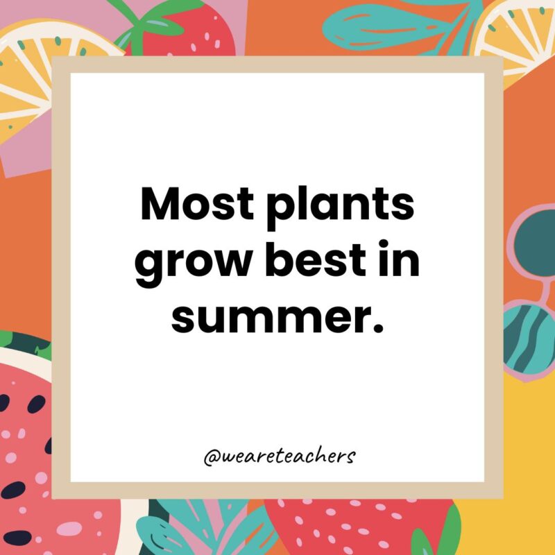 Most plants grow best in summer. Most plants grow best in summer.