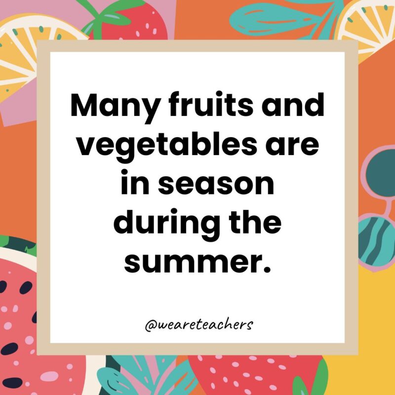 Many fruits and vegetables are in season during the summer. Many fruits and vegetables are in season during the summer.