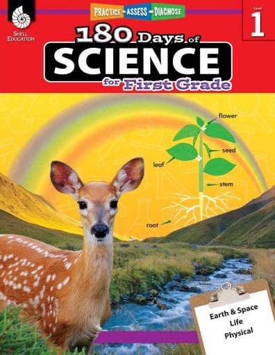 first grade workbook