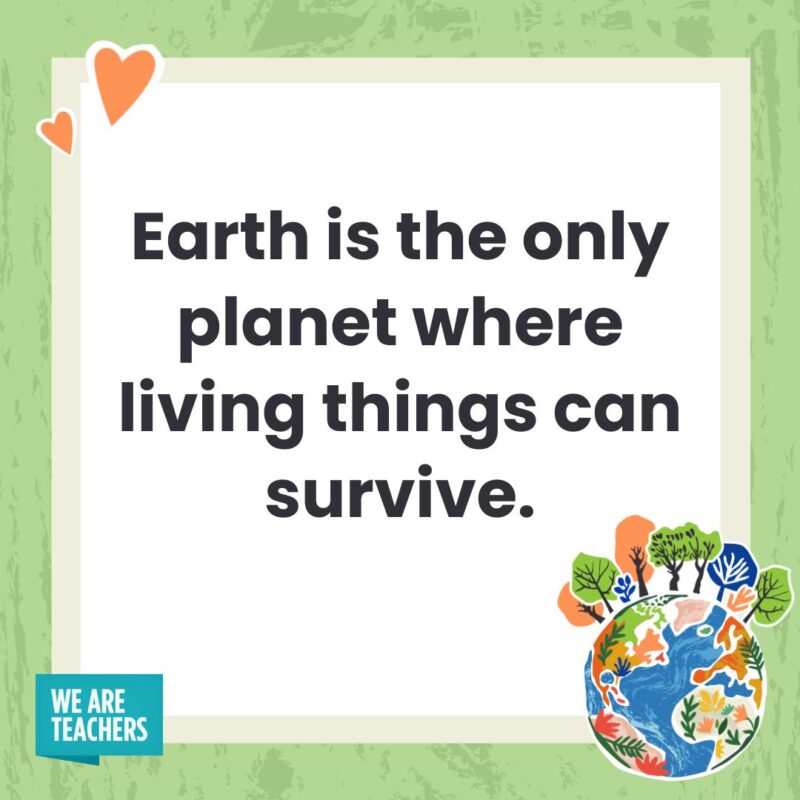 Earth is the only planet where living things can survive. Earth is the only planet where living things can survive.