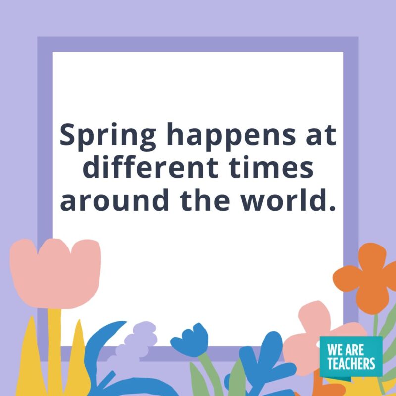 Spring happens at different times around the world. Spring happens at different times around the world.