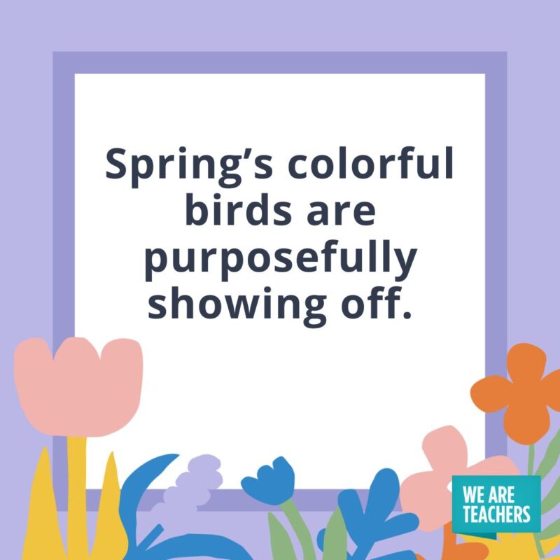 Spring’s colorful birds are purposefully showing off. Spring’s colorful birds are purposefully showing off.