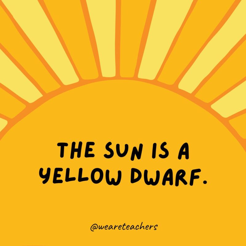 The sun is a yellow dwarf. The sun is a yellow dwarf.