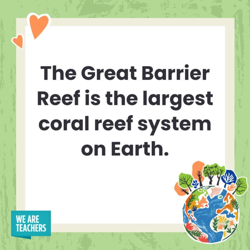 The Great Barrier Reef is the largest coral reef system on Earth. The Great Barrier Reef is the largest coral reef system on Earth.- facts about Earth