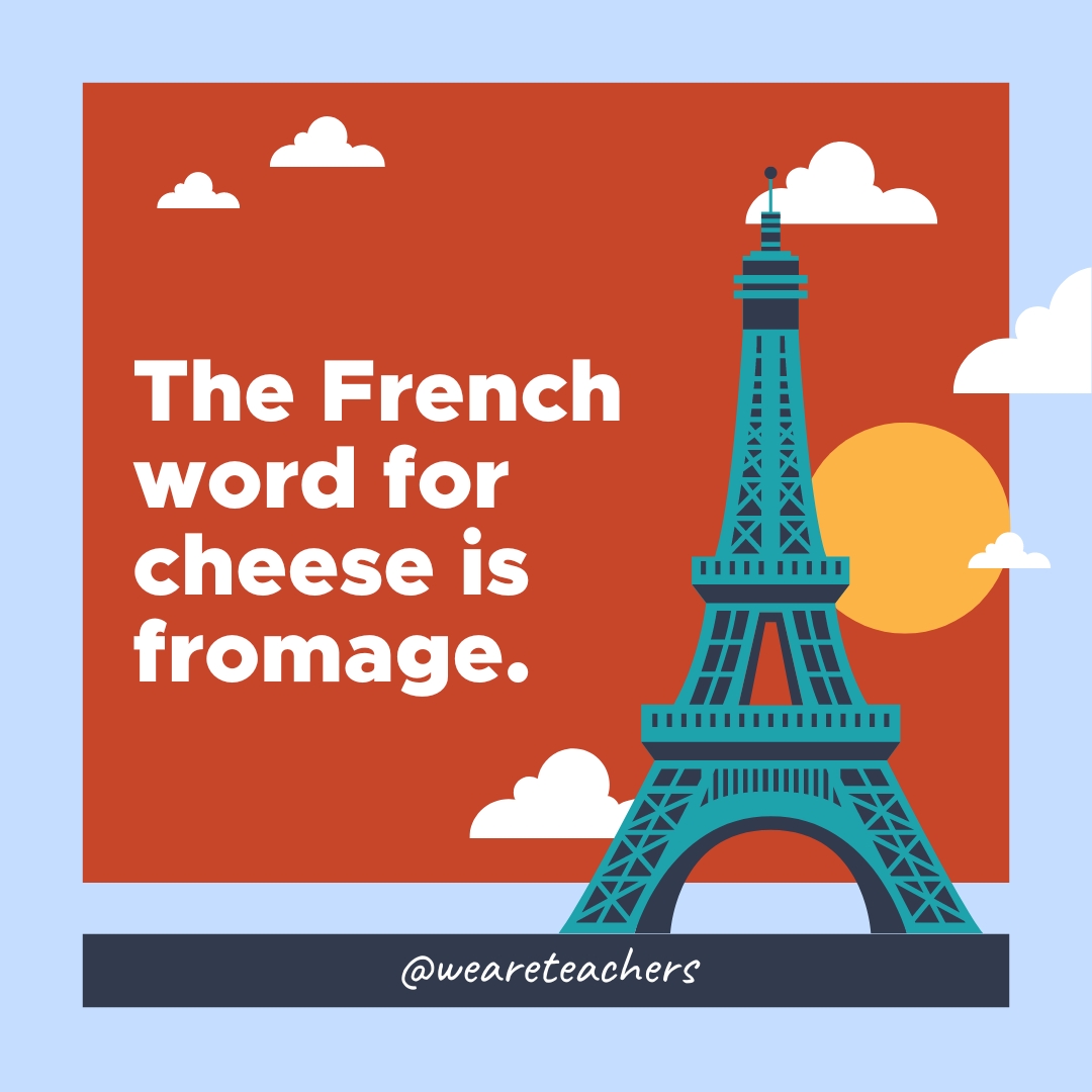 The French word for cheese is fromage. The French word for cheese is fromage.