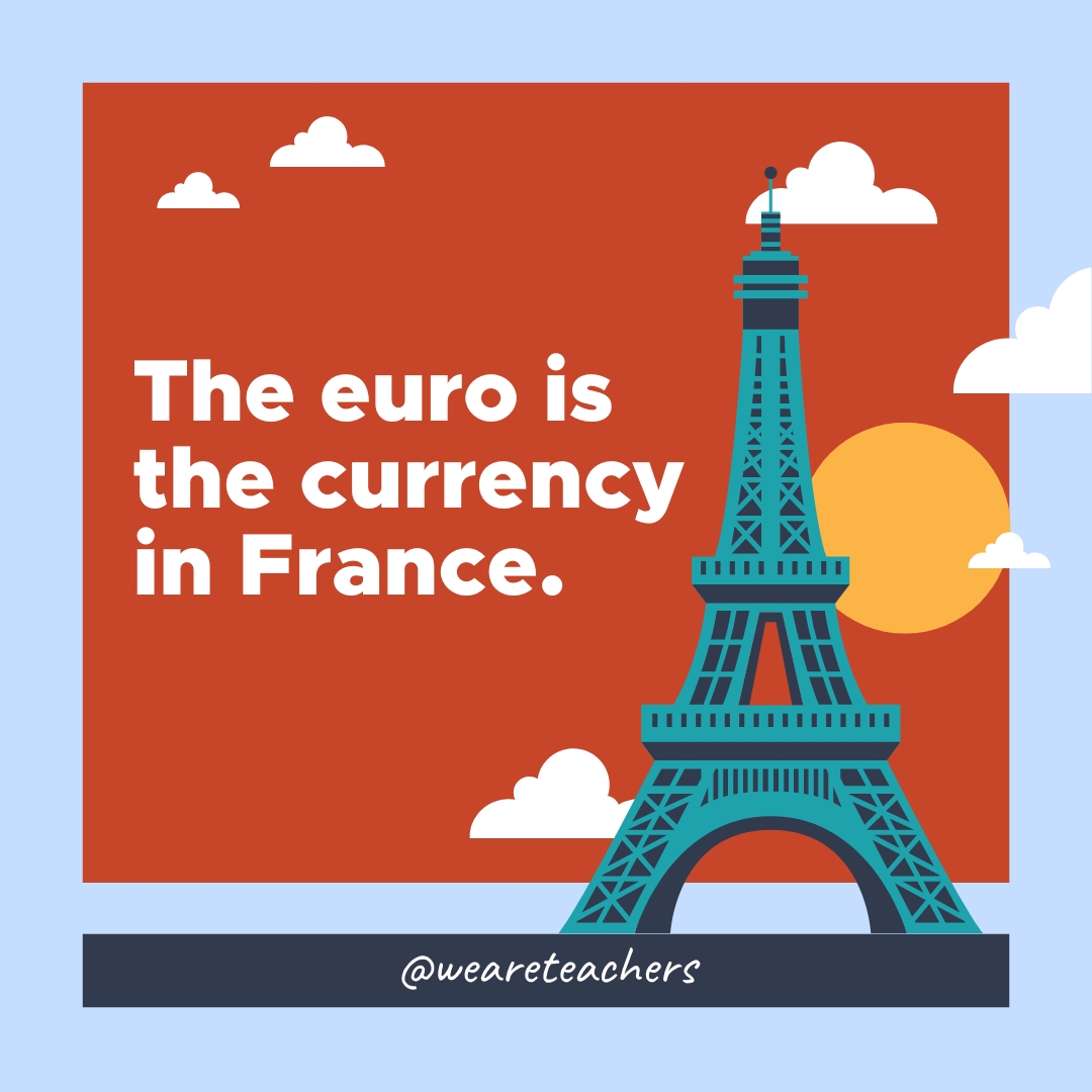 The euro is the currency in France. The euro is the currency in France.