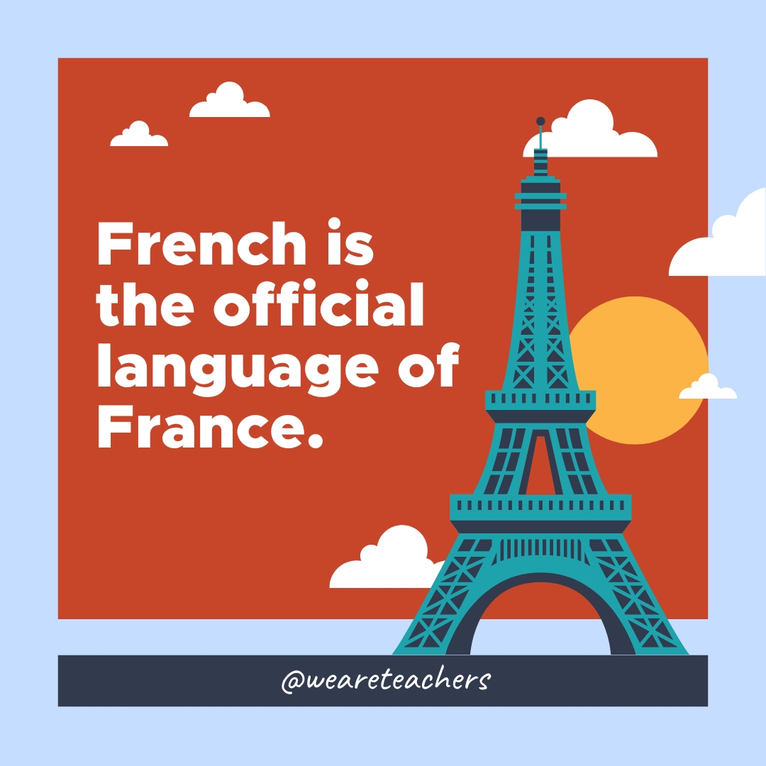 French is the official language of France. French is the official language of France.