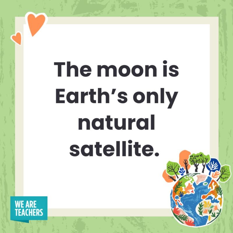 The moon is Earth’s only natural satellite. The moon is Earth’s only natural satellite.