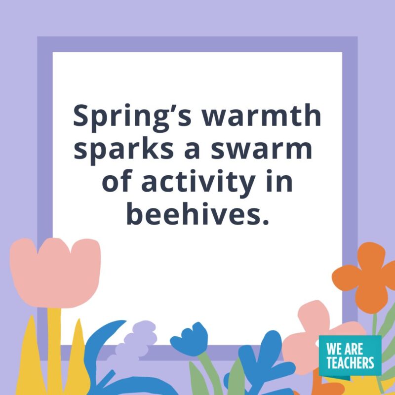 Spring’s warmth sparks a swarm of activity in beehives. Spring’s warmth sparks a swarm of activity in beehives.