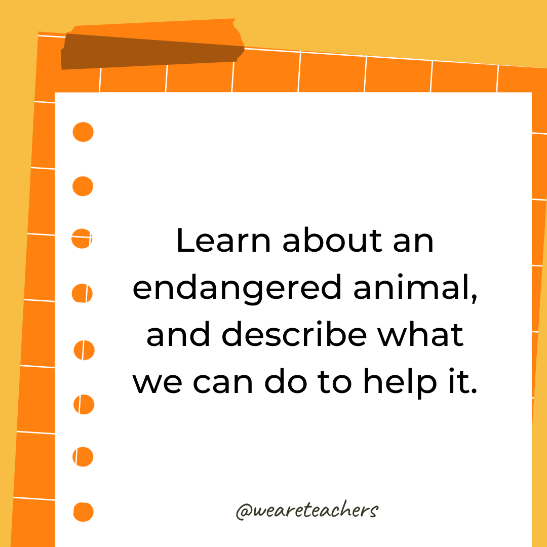 Learn about an endangered animal, and describe what we can do to help it. Learn about an endangered animal, and describe what we can do to help it.