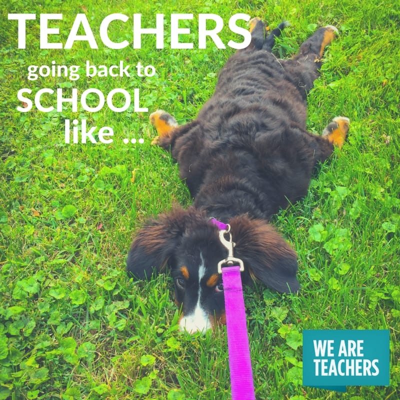 Summer Teacher Memes