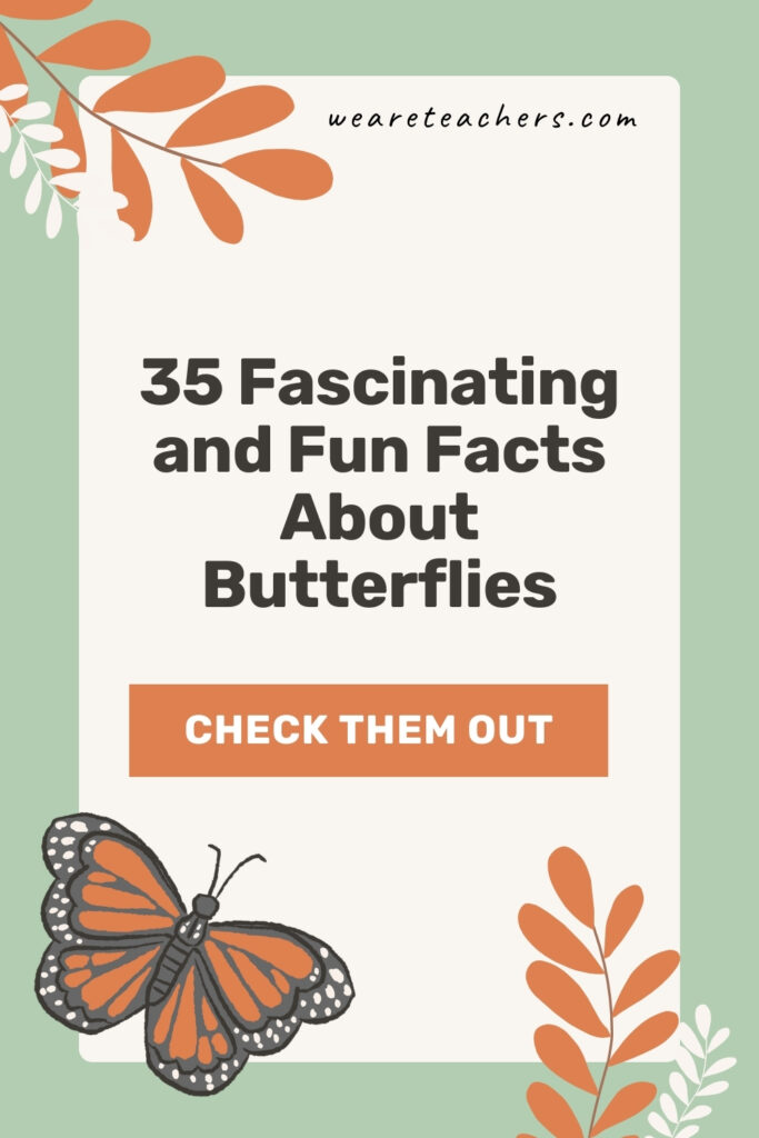 Butterfly-Facts Learn the largest, smallest, and fastest species, plus more fun and fascinating facts about butterflies and caterpillars.