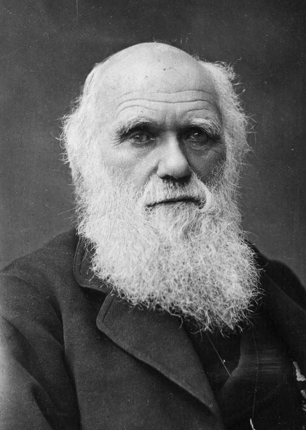 Charles_Darwin_portrait Charles Darwin