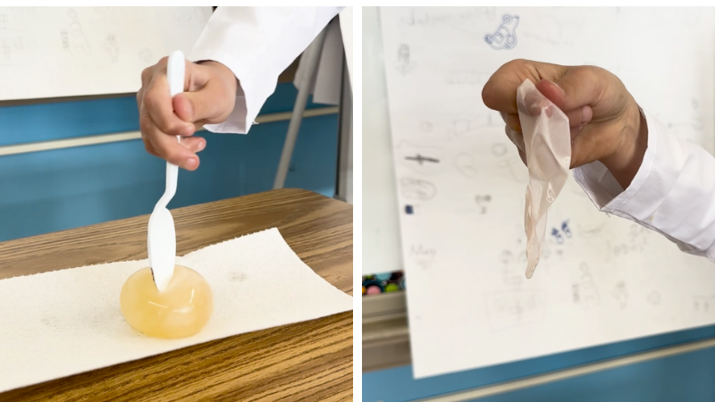 Egg-and-Vinegar-Science-Experiment-Break-the-Egg