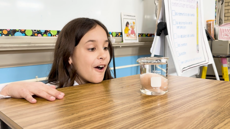 Egg-and-Vinegar-Science-Experiment-Observe-the-Egg Observe your egg