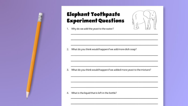 Elephant Toothpaste Experiment Worksheet Elephant toothpaste experiment worksheet with student questions.