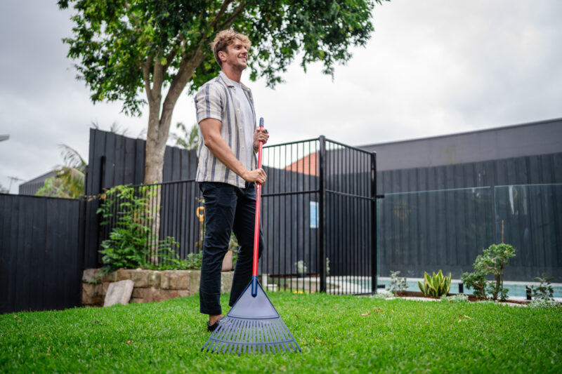 Man with rake on grass outside near black fence posing A man stands on lush green grass holding a large rake with a black fence and a tree in the background, perfect for gardening and outdoor work themes.