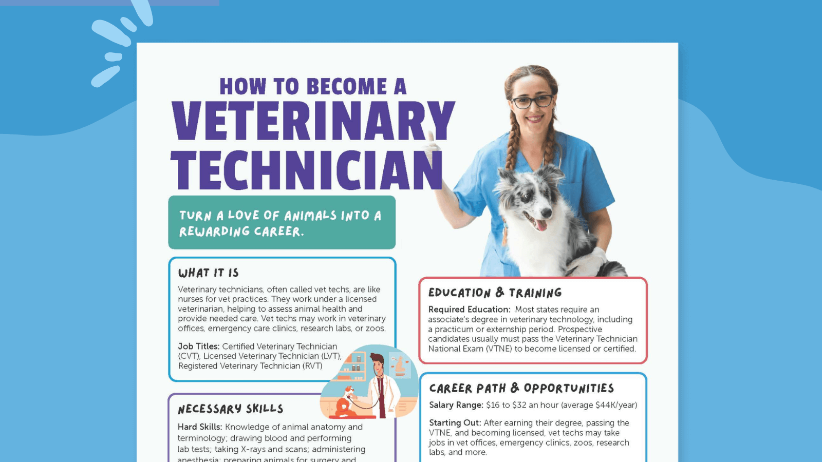 How to become a Vet Tech