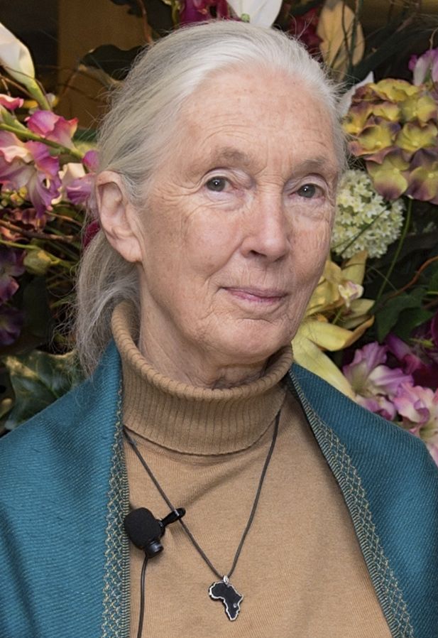 Jane_Goodall_2015 Jane Goodall