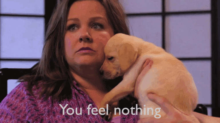 teacher gifs funny