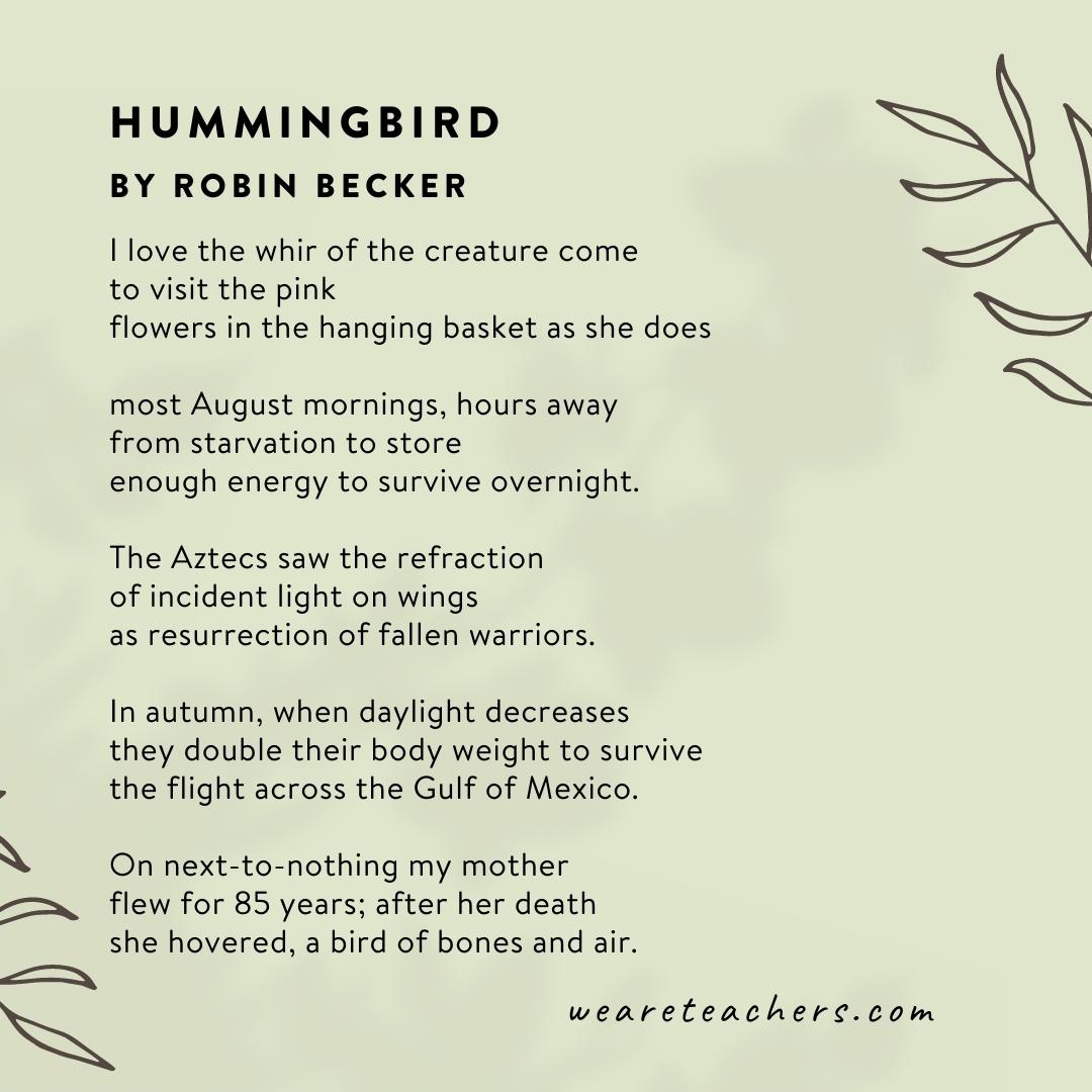 60 Beautiful Poems About Nature Hummingbird by Robin Becker - poems about nature
