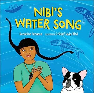 Nibi’s Water Song Book cover of Nibi's Water Song by Sunshine Tenasco