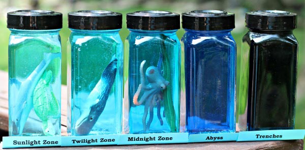 Ocean Layers 5 bottles with different shades of water in them and containing different sea life are shown.