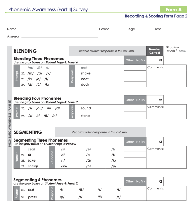 Phonemic Awaress Assessment example from Really Great Reading Assessment example