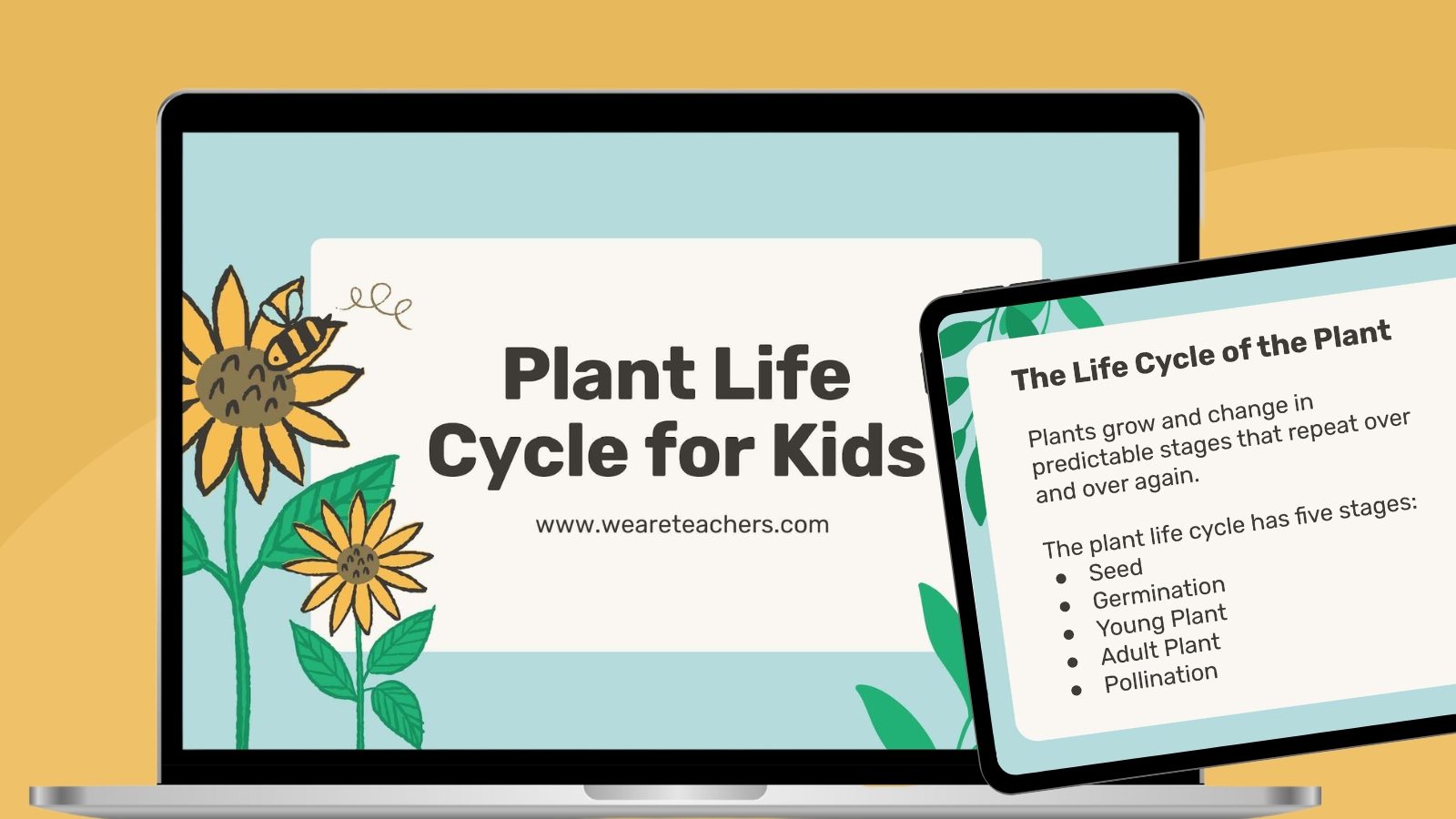 Laptop and tablet featuring slides from a plant life cycle for kids slideshow.