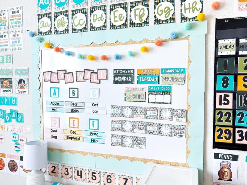 A bulletin board has plant details on it in this example of classroom themes.