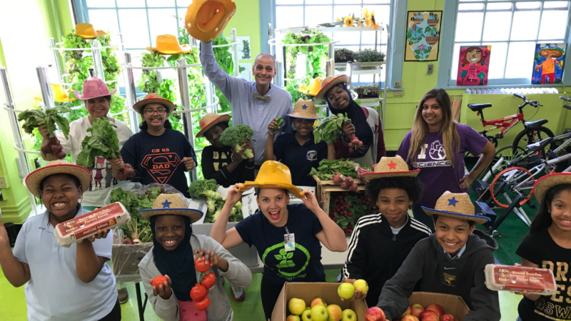 Tower Garden Group 2 tower garden improves community