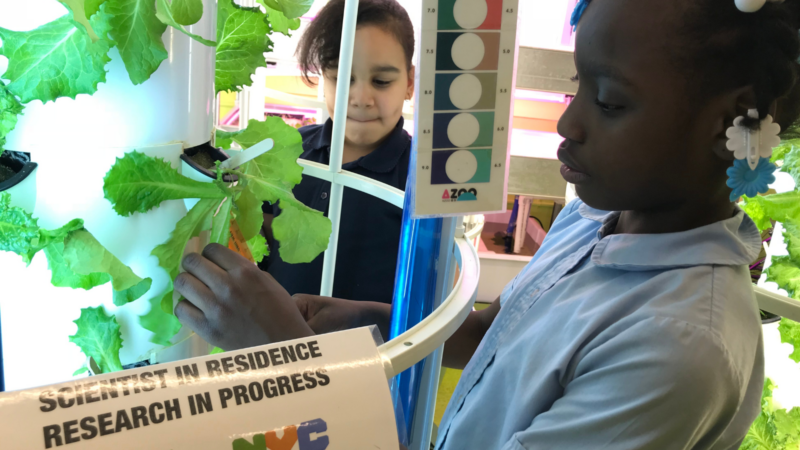 Tower Garden Research tower garden improves science