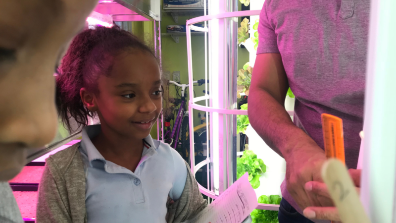 Tower Garden Study tower garden improves attitude
