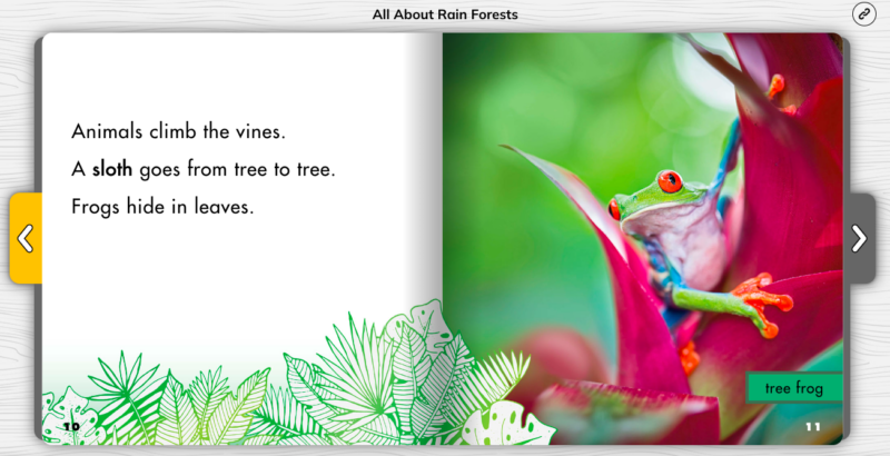All About Rainforests Nonfiction Text Features Page from All About Rainforests showing nonfiction text features