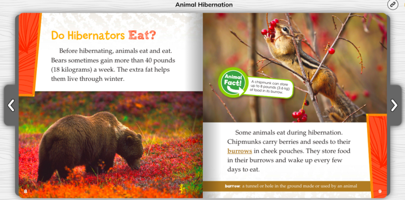 Animal Hibernation Fun Fact Example Sample page from Animal Hibernation with a fun fact