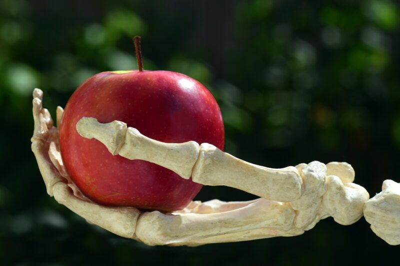 Picture Prompt: Apple Skeleton A red apple held in a skeleton's hand
