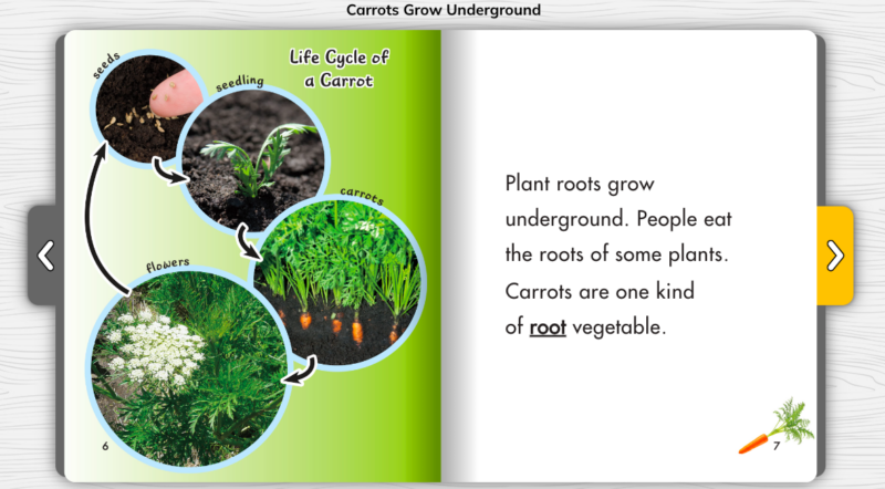 Carrots Grow Underground Diagram Sample page from Carrots Grow Underground showing a diagram