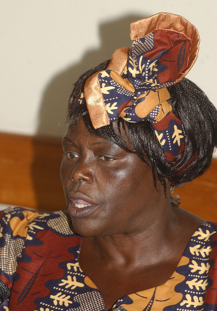 Famous Women in History Wangari Maathai in 2004