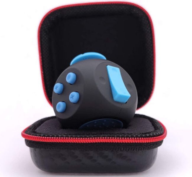 Fidget Toys: Cube Black and blue fidget cube in a zippered case