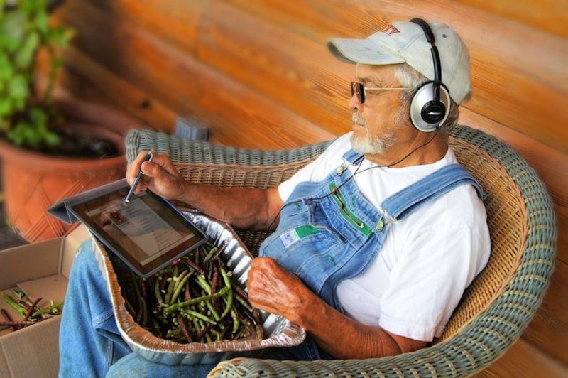 Picture Prompts: iPad Farmer Old man in overalls using an iPad while snapping green beans