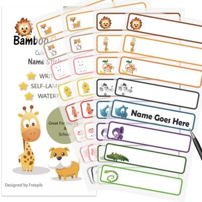 Best Kindergarten Classroom Supplies for Teachers