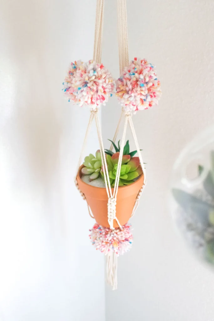 macrame-pom-pom-planter A small plant hangs suspended in a macrame hanger adorned with yarn pom pom balls