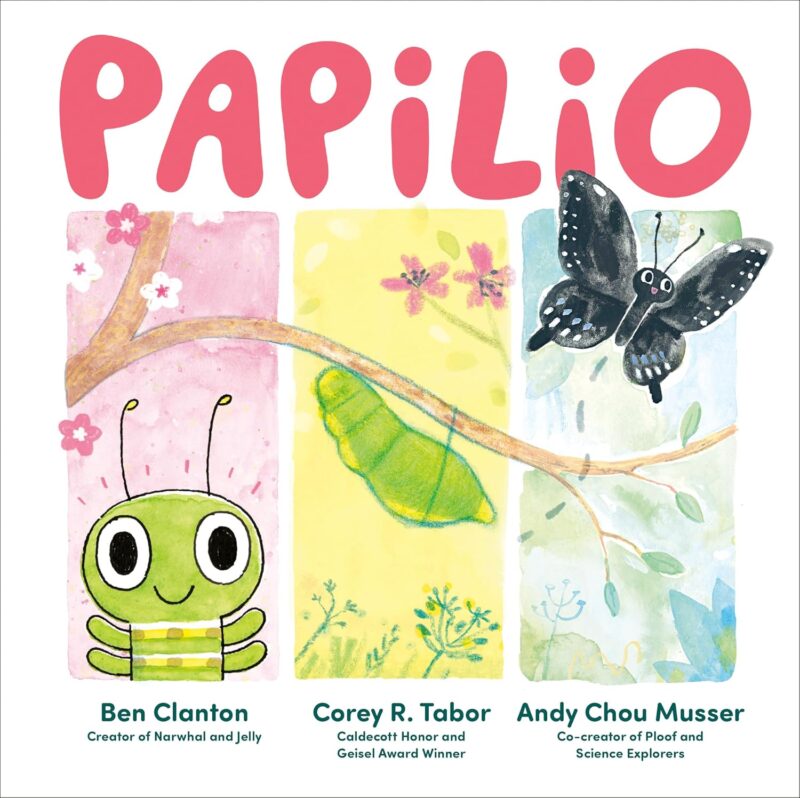 Papilio Papilio book cover
