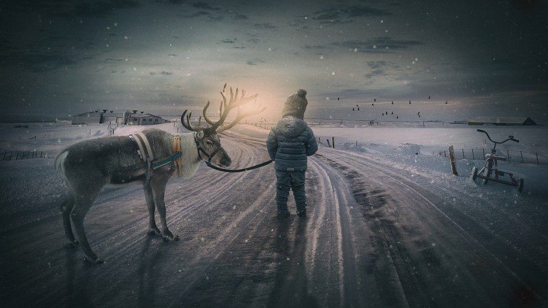 Picture Writing Prompts: Boy and Reindeer Boy leading a reindeer along a snowy path into the setting sun (Picture Writing Prompts)